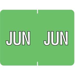 Datafile Month Label June 15/16 x 1-5/8 256/Pack