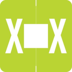Barkley Alpha Labels Letter X Light Green ADPK-X