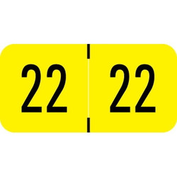 Digi-Color Year Labels, 2022, 1 1/2 x 3/4, Yellow, 500/Roll (DGYM-22)