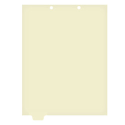 Chart Divider, Bottom Tab, Position 2, Clear, Blank, Pack/100