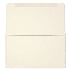 #6-3/4 Collection/Remittance Envelopes (W0260) 500/Box