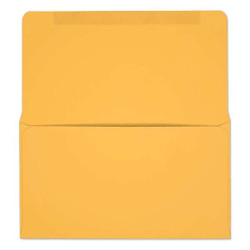 #6-3/4 Collection/Remittance Envelopes (W0264) 500/Box