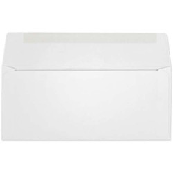 Western Sulphite Flap Extended Regular Envelope (No. 10) 2601