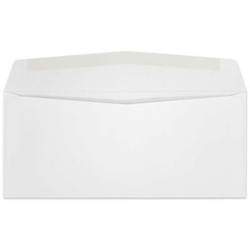 Western Sulphite Side Seam Regular Envelope (No. 10) 2641