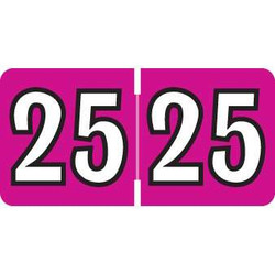Colwell Compatible Year Labels, 2024, Fuchsia, 1 x 1/2, 250/Pack