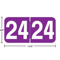 Ames AAYM year label, 2024, purple, 3/4" x 1-1/2", wraparound with white “24”; center-slit liner.