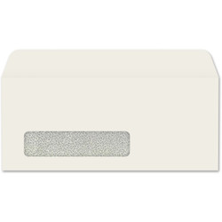 Front view of W2567 #10 white Digi-Clear window envelope with black confetti security tint and side seam construction.