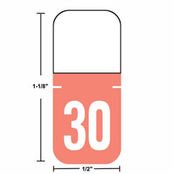 2030 Dark Pink TAB A1308 Year Labels, 1-1/8" x 1/2", 500/Roll
