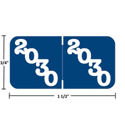 Jeter Compatible JTYM-30 Year Labels - 2030, Blue, 3/4" x 1-1/2", 500/Box