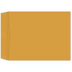 Roptex 11-1/2 x 14-1/2 brown 28lb kraft open end catalog envelope