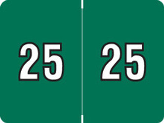 Data File Year Labels