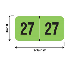 Fluorescent Year Labels
