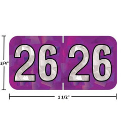 Holographic Year Labels