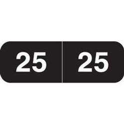 Ames AMYM Year Labels