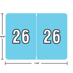 Data File Year Labels
