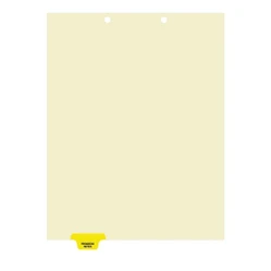 Printed Medical Chart Dividers