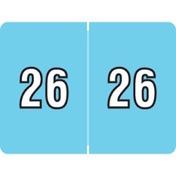 Data File Year Labels