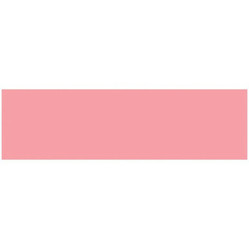 Ames ASLP Solid Color Labels