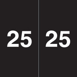 Ames AEYM Year Labels