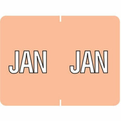 Data File Month Labels