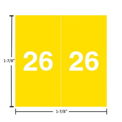 Ames AEYM Year Labels