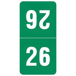 Smead TTYM Year Labels