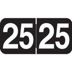 Ames AAYM Year Labels