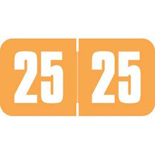 Safeguard Year Labels