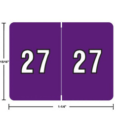 Data File Year Labels