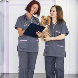 Veterinary