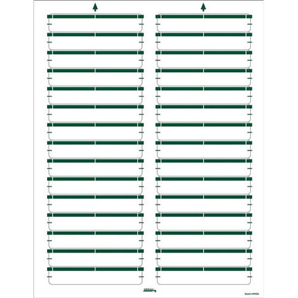 Printable File Folder Labels, 1/3-Cut Tab Size (2/3" H x 3 7/16" W), Green, 750 Labels (25 Sheets)
