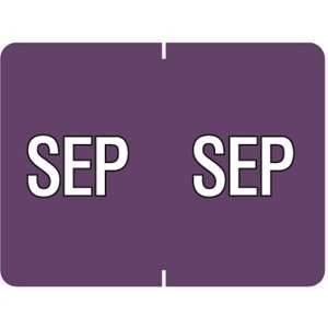Datafile Month Label September 15/16 x 1-5/8 256/Pack