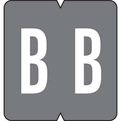 GBS Alpha Labels, 8850-Series, 1 5/16 H x 1 1/4 W, Letter B, Gray, 550/Roll, 91322
