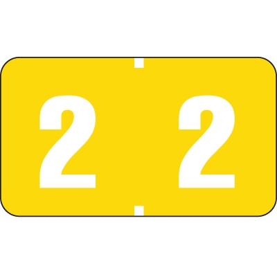 Digi Color Alternate Numeric Label, 1-5/8W x 15/16H,  Number 2, Yellow, 250/RL, DXNM-2