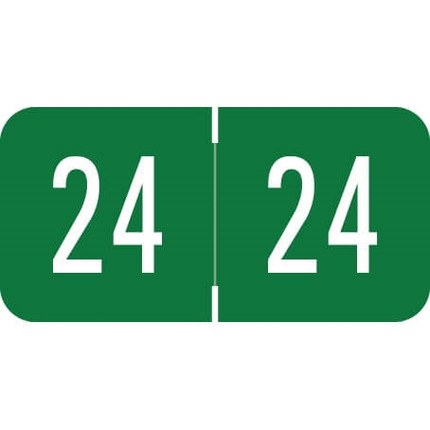 Digi-Color Year Labels, 2024, 3/4 x 1-1/2, Green, 500/Roll (DGYM-24)