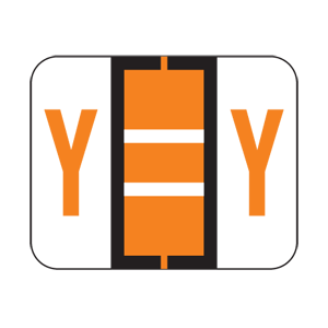 File Doctor Alpha Labels, 1 H x 1 1/4 W, Letter Y, Orange, 500/Roll, FDAV-Y