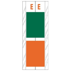Acme Visible Label Letter E 4 x 1-1/2 102/Pack