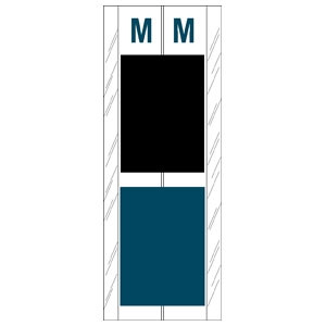 Acme Visible Label Letter M 4 x 1-1/2 102/Pack