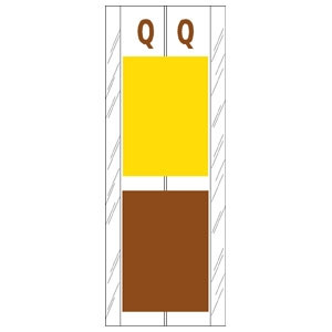 Acme Visible Label Letter Q 4 x 1-1/2 102/Pack