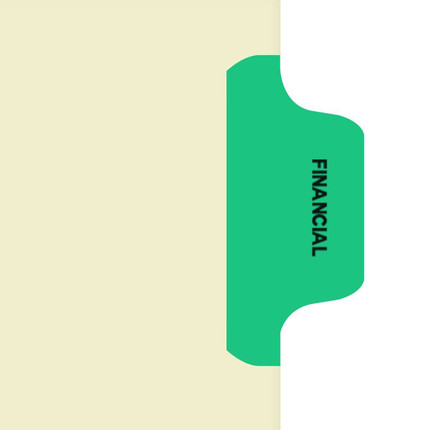 Chart Divider Tab, Position 5, Lt. Green, Financial, Pack/100