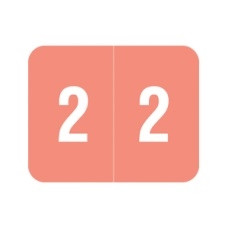 Smead DCCRN Numeric Labels Number 2