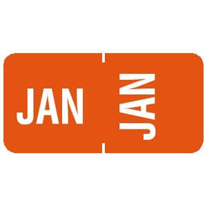Tabbies Month Labels January Orange 70231