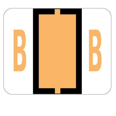 Click to zoom in on this Smead BCCR Compatible Label Letter B