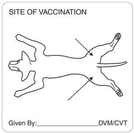 Canine vaccination site diagram with arrows indicating rear leg injection points. Includes space to note veterinarian name.