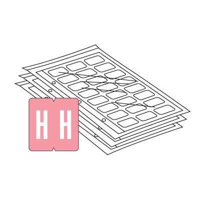 GBS/VRE Alpha Labels, 8848-Series, 1 5/16 H x 1 1/4 W, Full Set 27 Packs, VRPK-CS