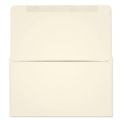 #6-1/4 Collection/Remittance Envelopes (W0258) 500/Box