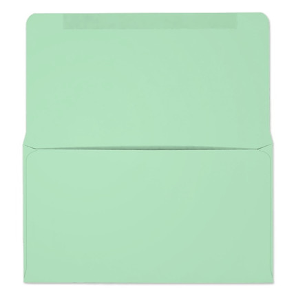 #6-3/4 Collection/Remittance Envelopes (W0266) 500/Box