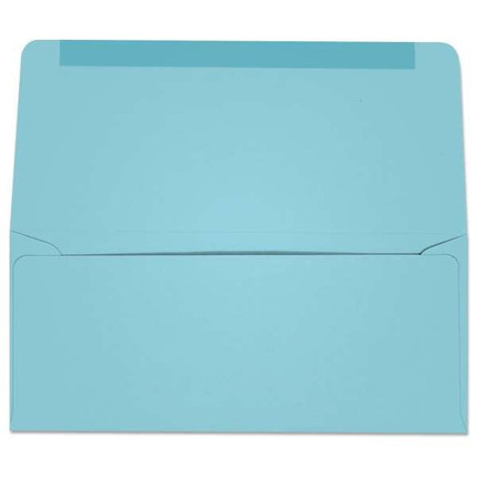 #9 Collection/Remittance Envelopes (W2176) 500/Box