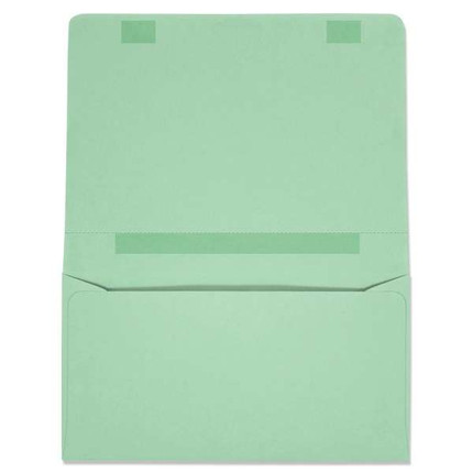 Dual Purpose Mailer (W3873) 500/Box