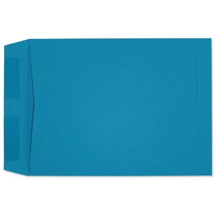 Starburst Catalog Blue (9 x 12) 4957